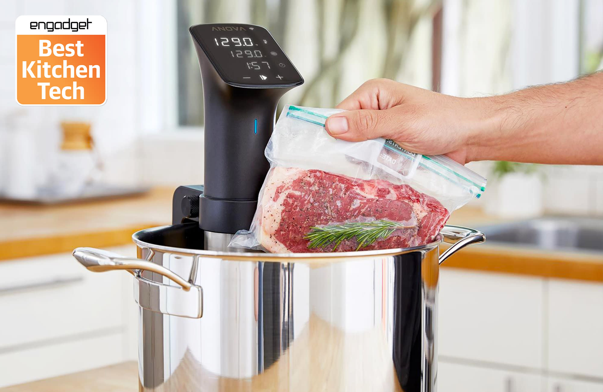 Best Smart Sous Vide Cookers on the Market 3673
