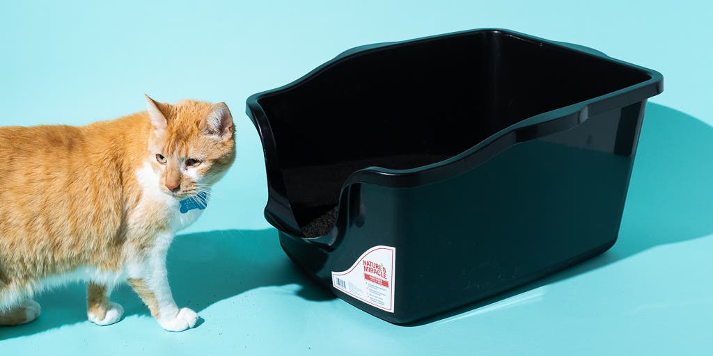 6 Best Cat Litter Boxes with Built in Scoop Holders 11017