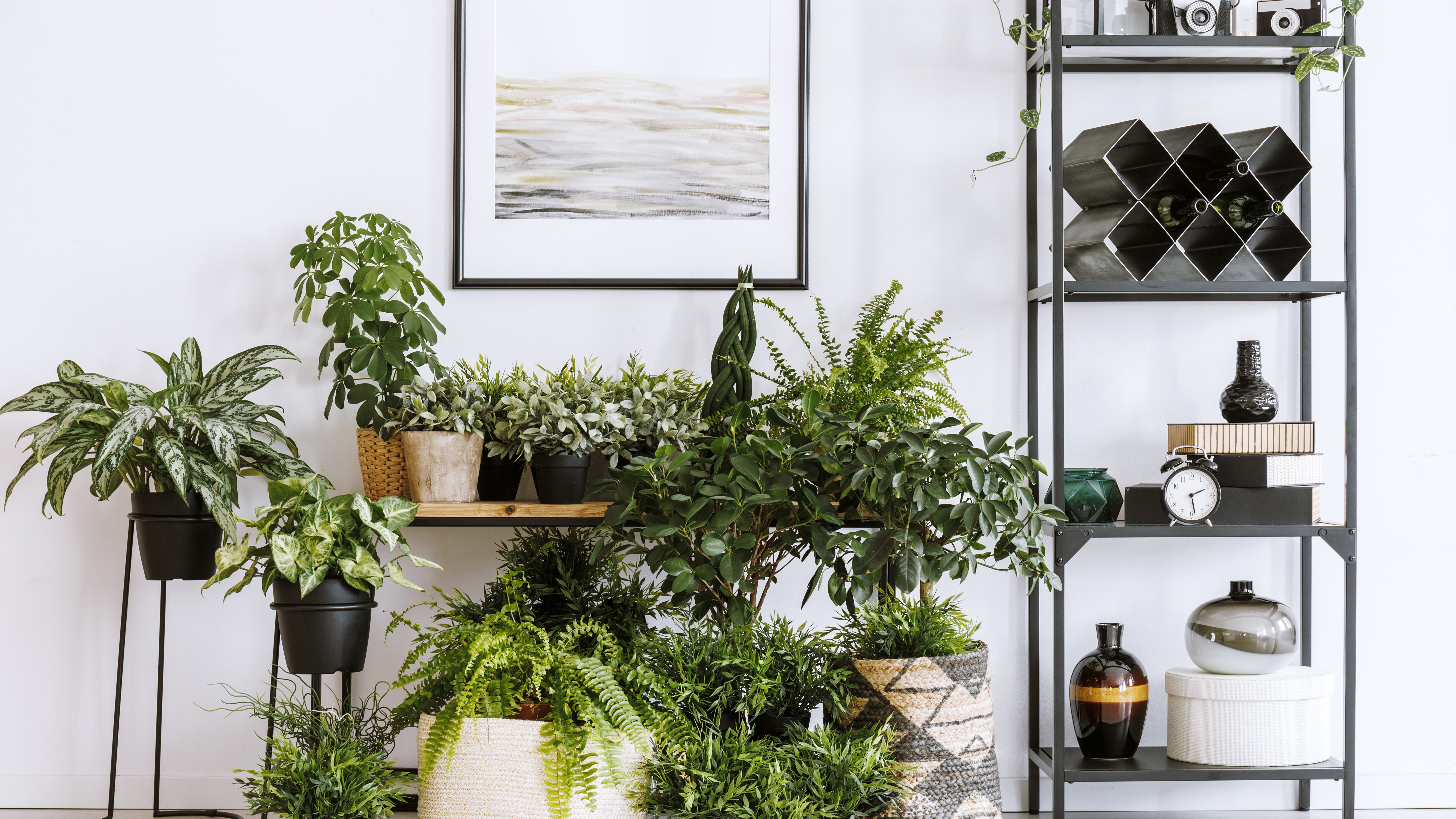 Add a Little Greenery to Your Home 8 Best Kokedama to Try Out 17712