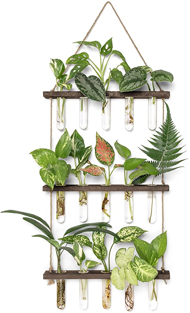 Four of the Best Hanging Terrariums for Your Home A Buyers Guide 17673