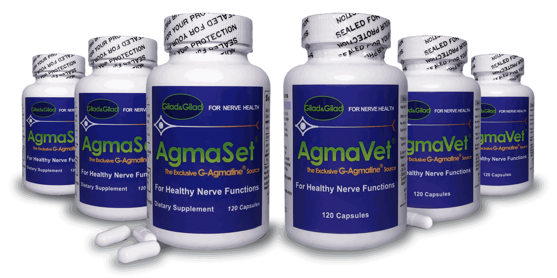 The Best Agmatine Products on the Market