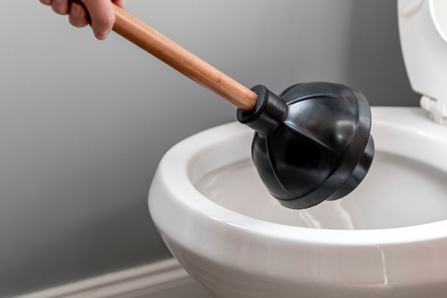 4 Best Plungers for Your Toilet Find the Perfect Fit for Your Needs 18388