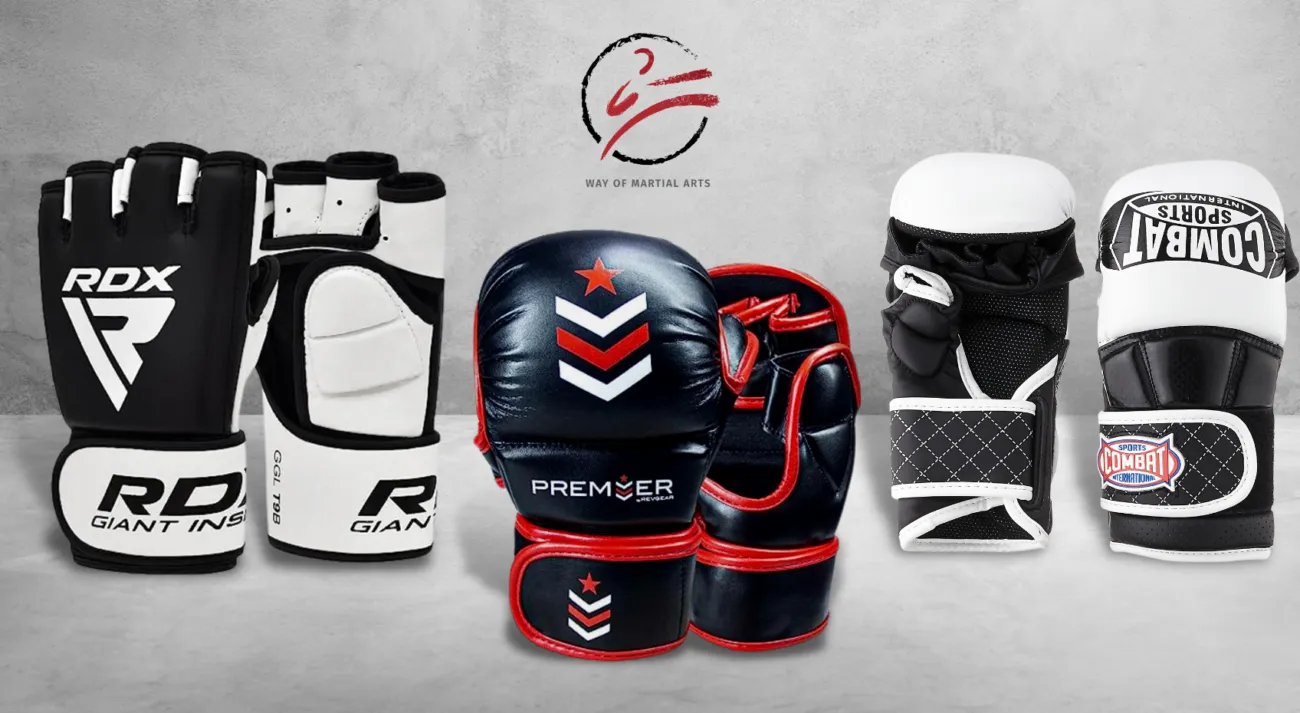 5 of the Best MMA Training Gloves to Take Your Game to the Next Level 21143